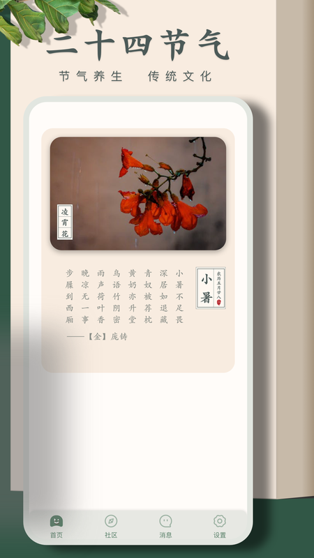 识别花_图片5