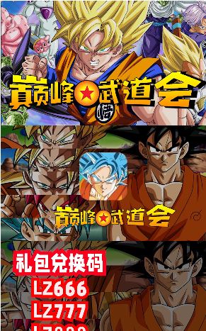 巅峰武道会_图片4
