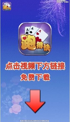 花色跑得快_图片4
