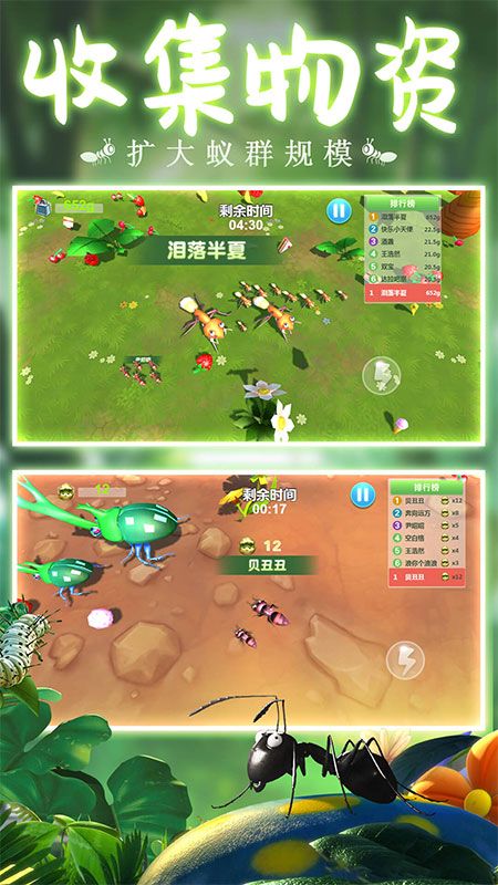 辉煌蚁族_图片3