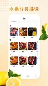 水果大全_图片4