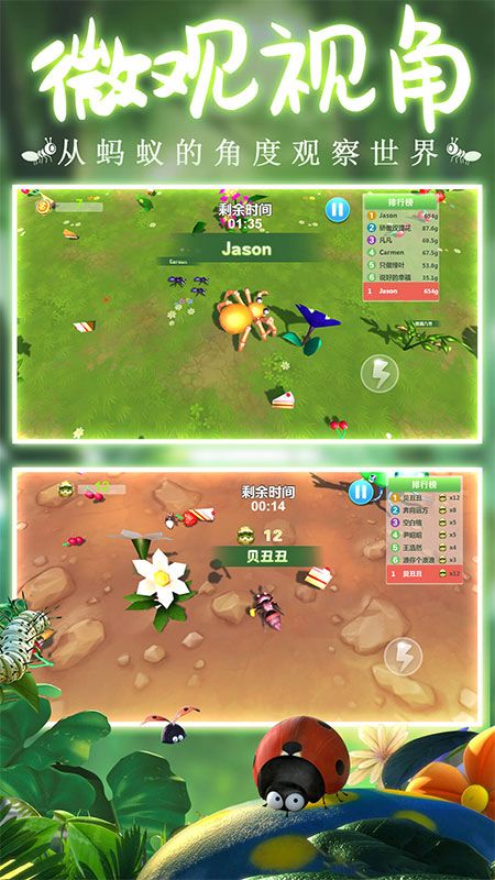 辉煌蚁族_图片2