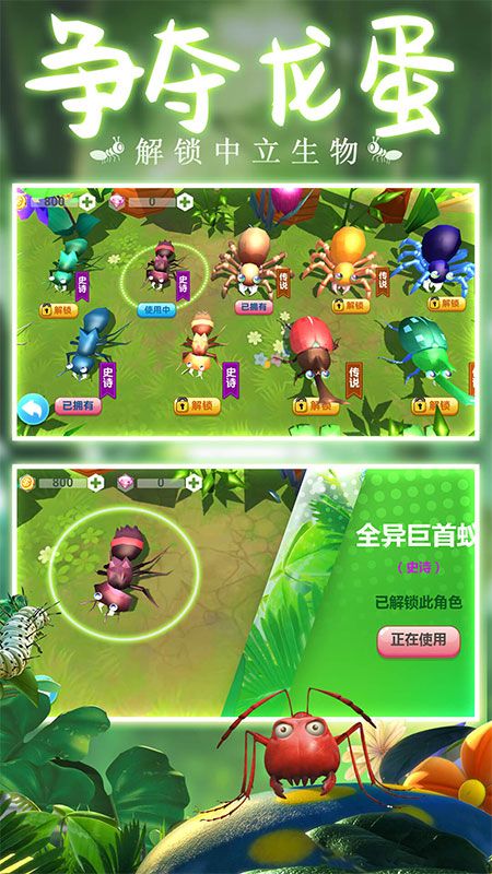 辉煌蚁族_图片1