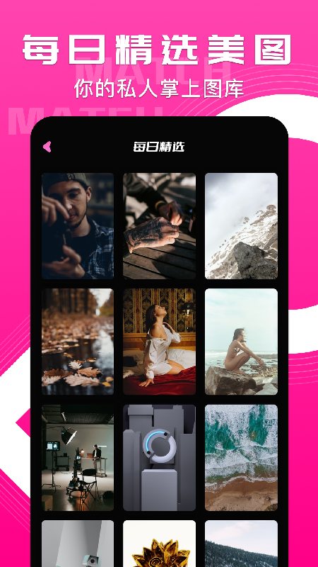 小鸟主题壁纸_图片2
