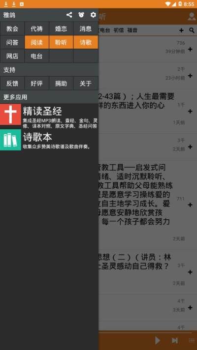 雅鸽_图片3