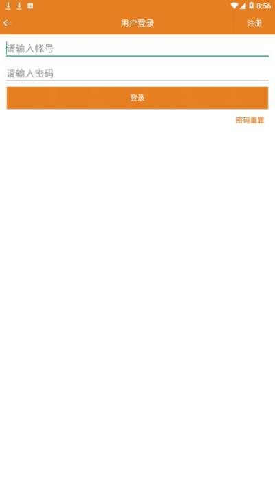 雅鸽_图片4