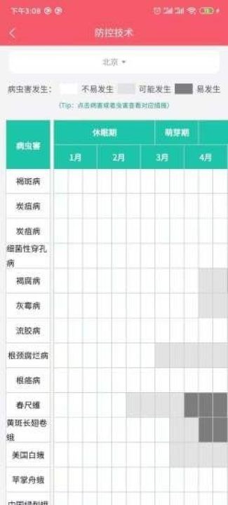 樱桃医生_图片1