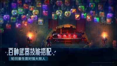 重生细胞_图片4