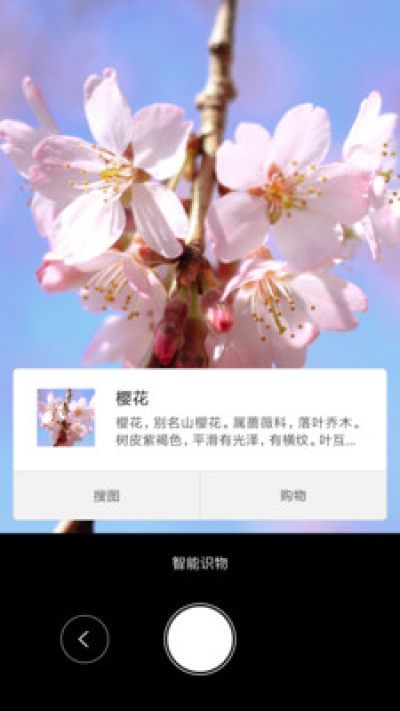 智能识物软件_图片4