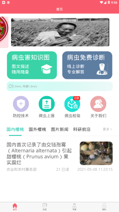 樱桃医生_图片4