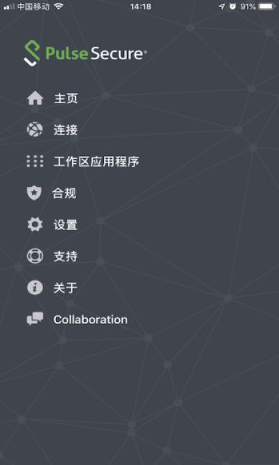 Pulse Secure_图片4