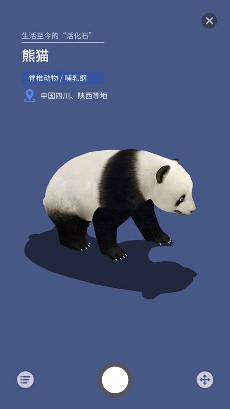 大眼探世界_图片3