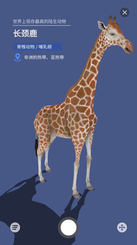大眼探世界_图片5