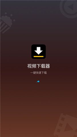 视频下载器_图片4