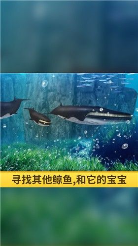 海洋3d蓝鲸模拟_图片3