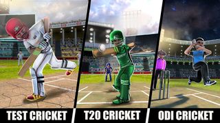 RVG世界板球比赛RVG Cricket Lite_图片3