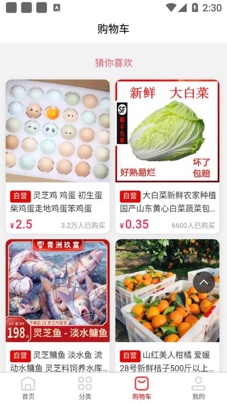 农棵园_图片3