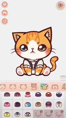 猫咪时尚之星_图片4