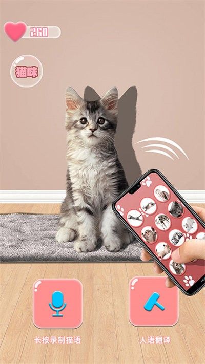 猫猫语言转换器_图片1