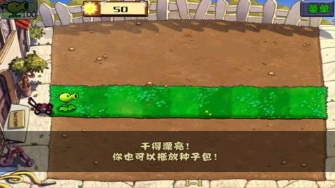植物大战僵尸魔幻版_图片1