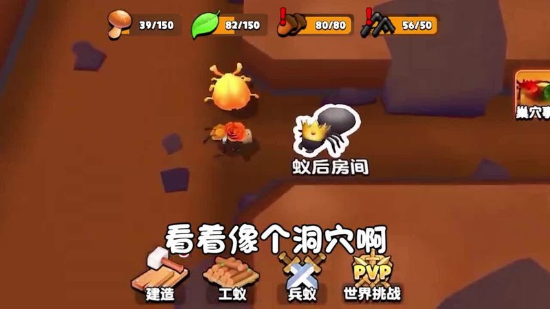 小小蚂蚁_图片1
