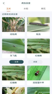 鲁担惠农村集体版_图片1