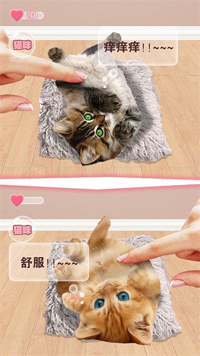 猫猫语言转换器_图片4