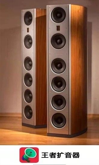王者扩音器_图片2