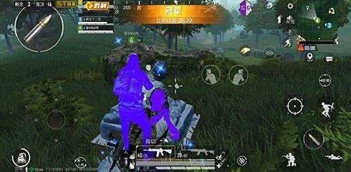 和平精英防封框架本_图片2