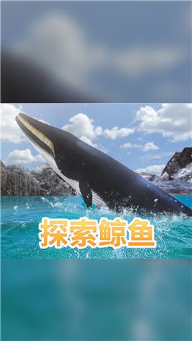 海洋3d蓝鲸模拟_图片1
