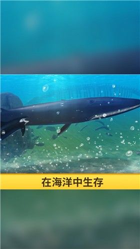 海洋3d蓝鲸模拟_图片2