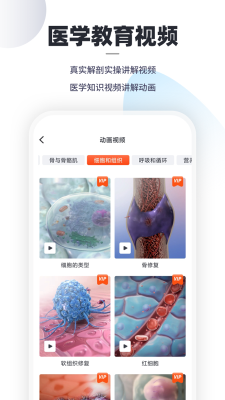 口袋解剖_图片2