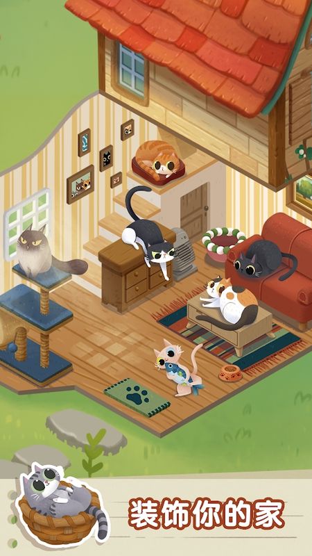 猫猫慵懒的日常_图片4