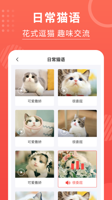 喵星人翻译器_图片4