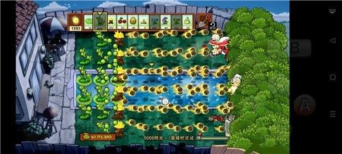 pvz破碎_图片4