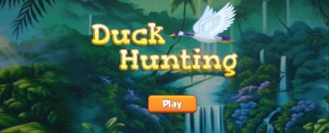 射鸭射鸟Bird Hunting_图片1