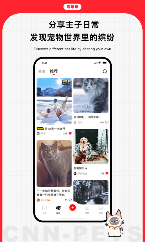 宠年年_图片4