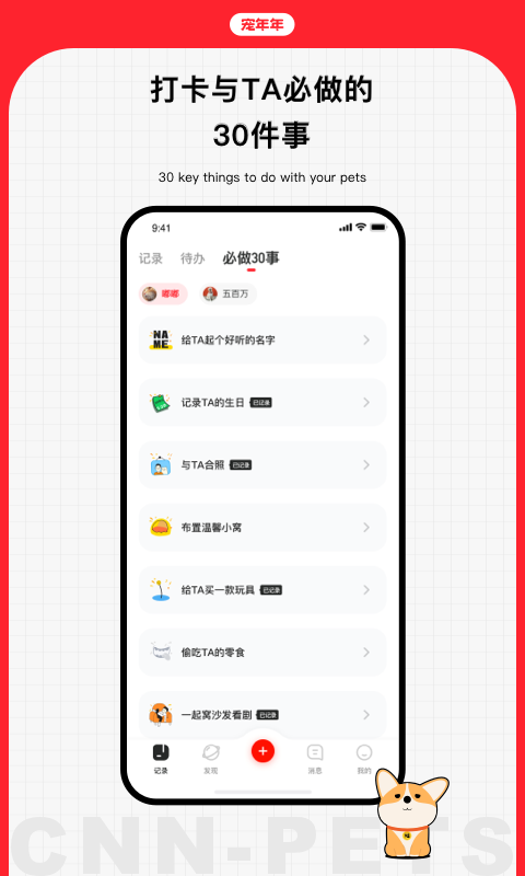 宠年年_图片3