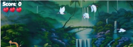 射鸭射鸟Bird Hunting_图片2