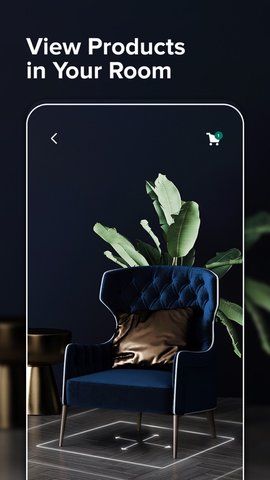 Houzz室内设计_图片5