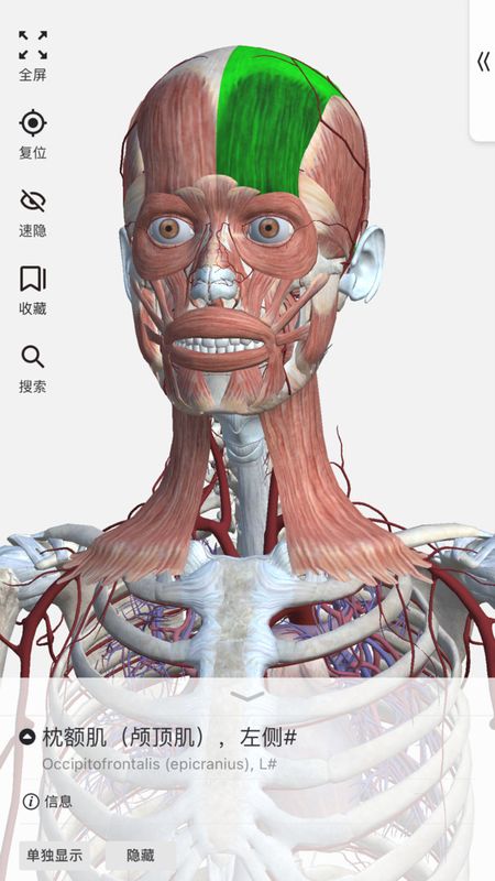 口袋人体解剖app_图片4