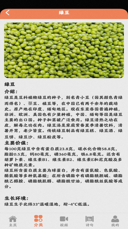 田园小院_图片5