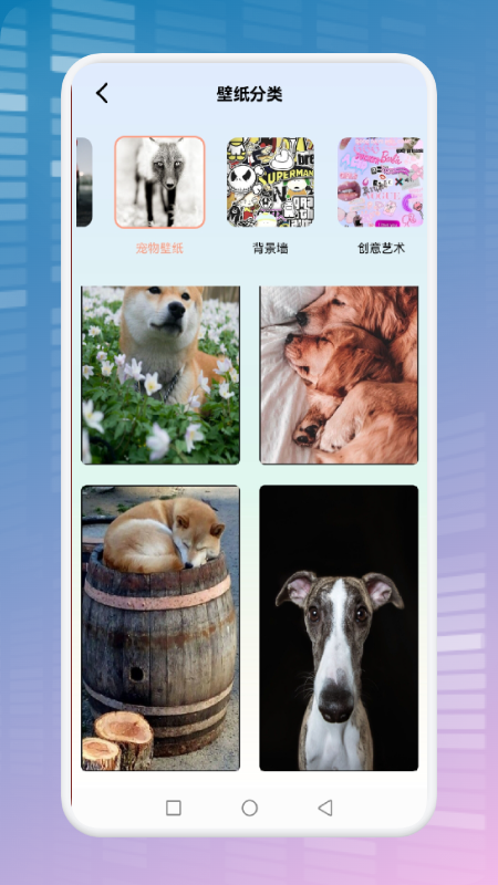 Petscare_图片3