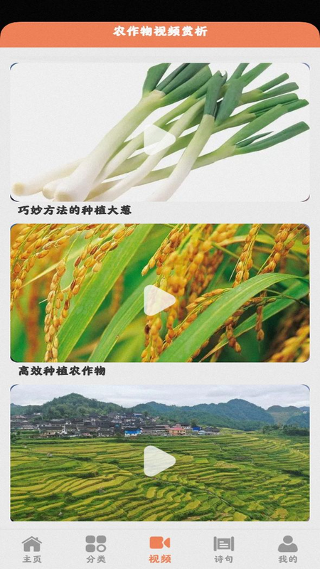 田园小院_图片3