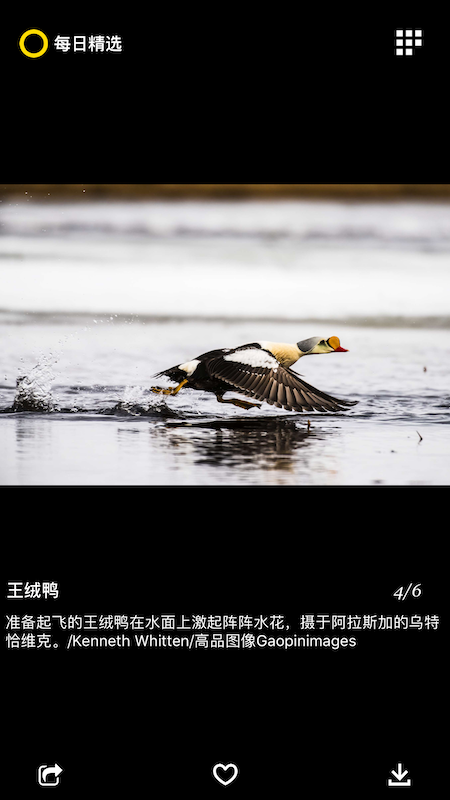 每日精选_图片4