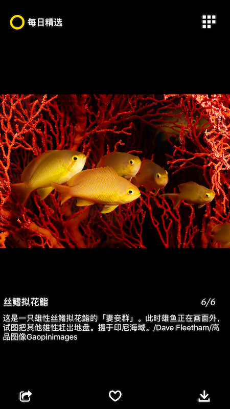 每日精选_图片5