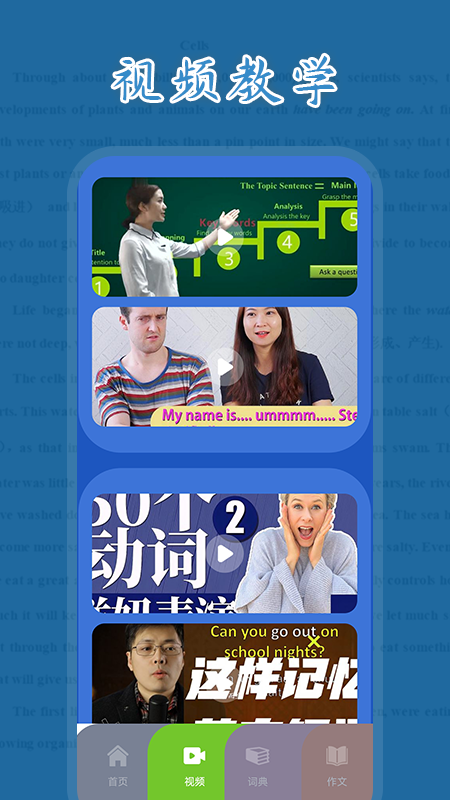 红宝书_图片3