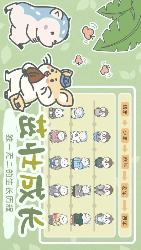 宠我一生_图片2