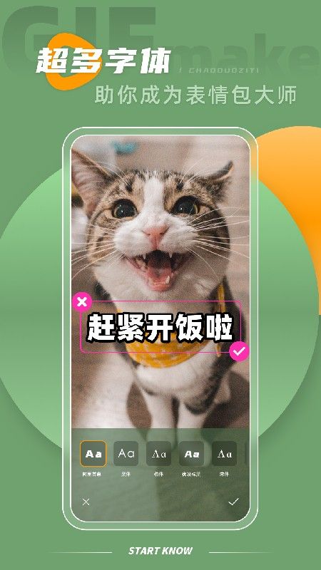intoLive_图片4