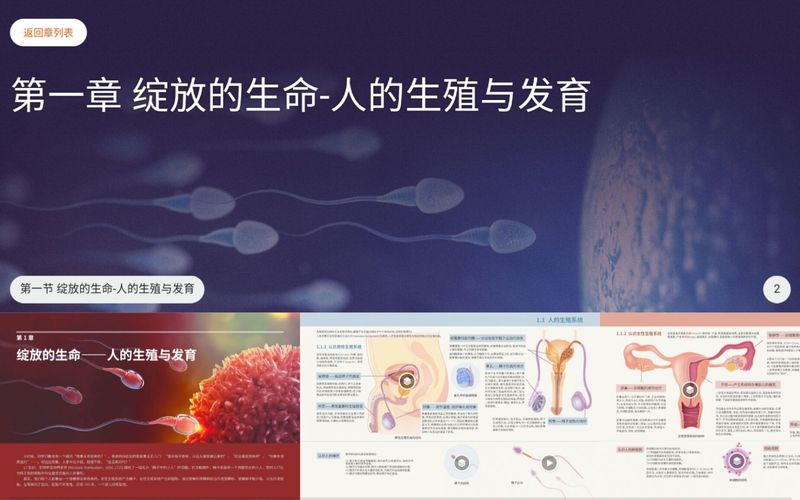 人体_图片2
